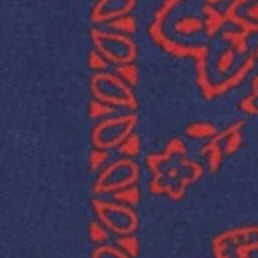 Medium Hand-Rolled Silk Scarf in Navy/Red Floral Paisley