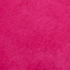 Embellished Buckle Shoe in Lipstick Suede