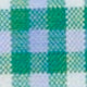 Spread Collar Sport Shirt in Green/Sky/White Check Poplin
