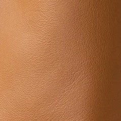 Louise Bag in Tan Leather