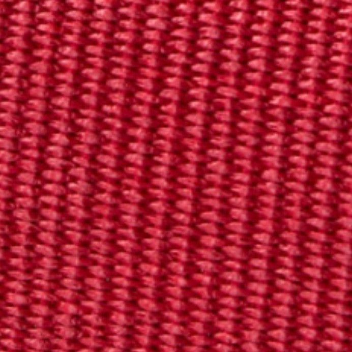 Patricia Clutch in Red Straw