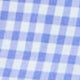 Blue Gingham Poplin