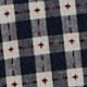 Navy/Red Embroidered Gingham