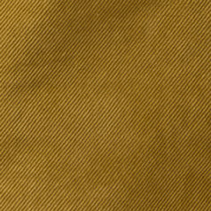 Connelly Skirt in Gold Stretch Corduroy