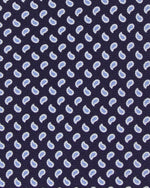 Load image into Gallery viewer, Silk Print Tie in Navy/Blue Mini Paisley

