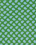 Load image into Gallery viewer, Silk Print Tie in Green/Sky Paisley
