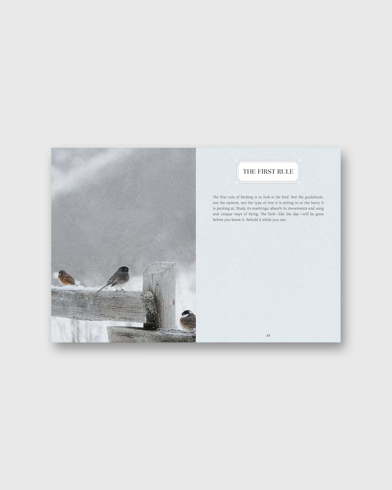 Small Wonders - Jennifer Shoop