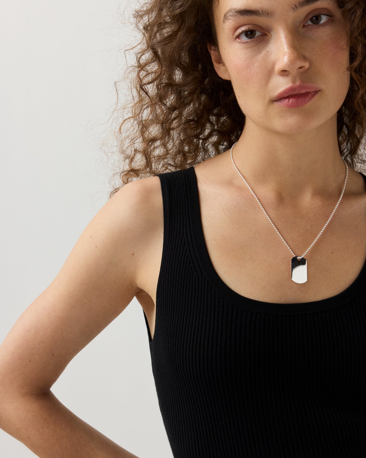 Dog Tag Necklace in Silver