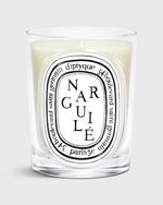 Load image into Gallery viewer, Classic Scented Candle in Narguile
