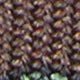 Chocolate/Blue/Sand Foulard
