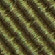 Olive/Navy/Dutch Stripe