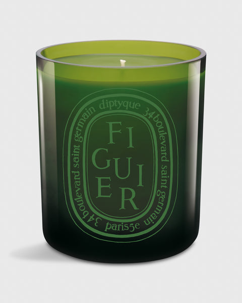 Colored Scented Candle in Figuier | Shop Mashburn