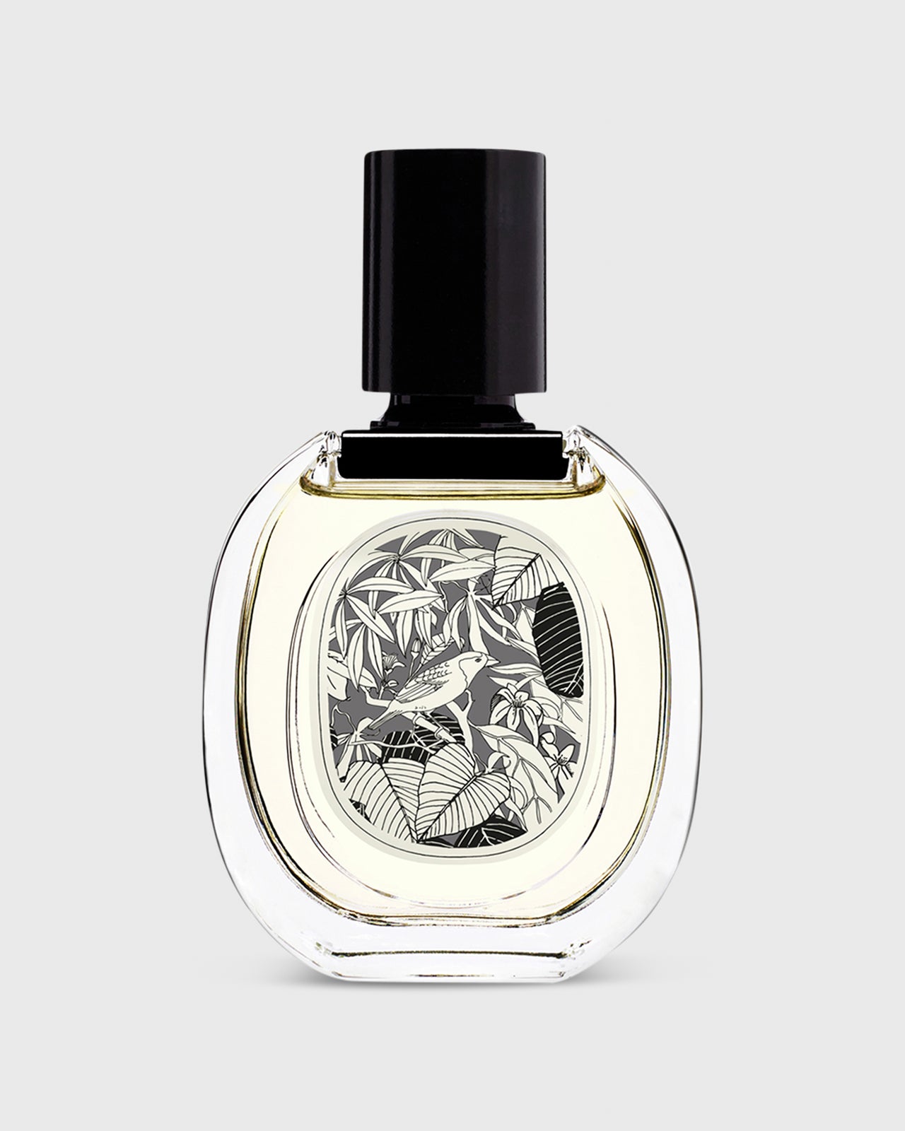 Eau de Toilette, 50 mL Vetyverio