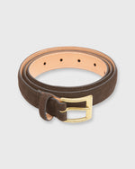 Load image into Gallery viewer, 1&quot; Belt Chocolate Suede
