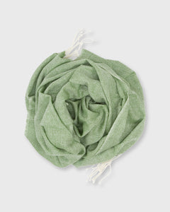 Cashmere Gauze Scarf in Green/White