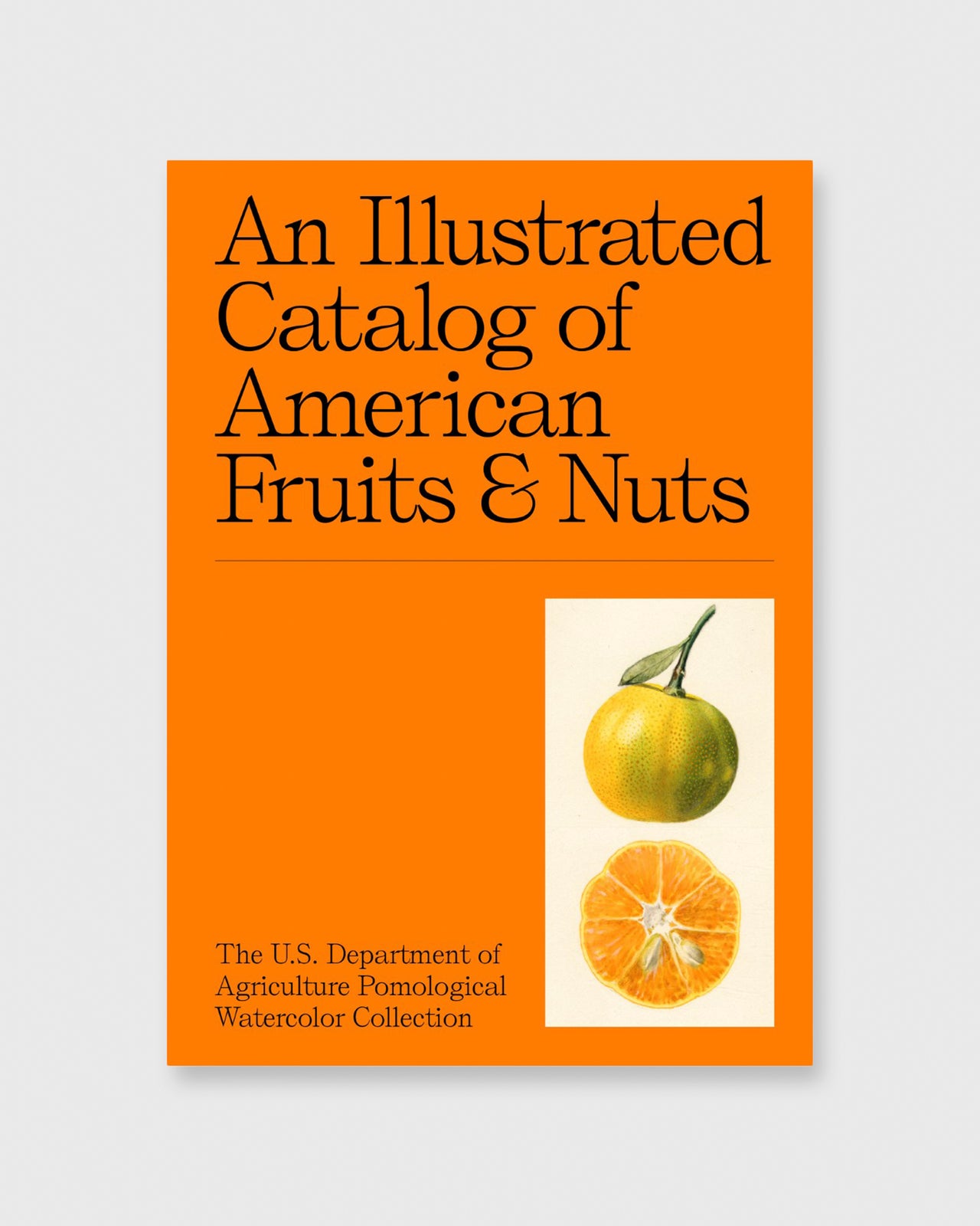 An Illustrated Catalog of American Fruits & Nuts