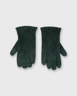 Load image into Gallery viewer, Cashmere-Lined Gloves in Spruce Suede
