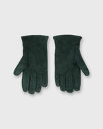 Load image into Gallery viewer, Cashmere-Lined Gloves in Spruce Suede
