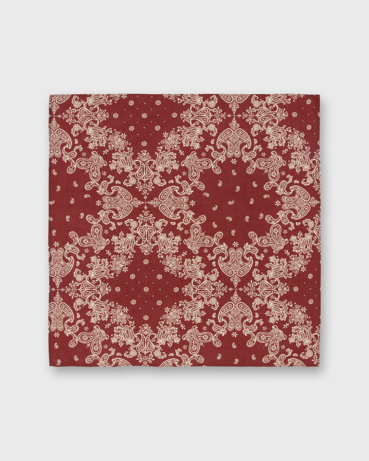 Bandana in Red Paisley