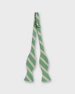 Load image into Gallery viewer, Silk Bow Tie in Green/Yellow/Blue Stripe
