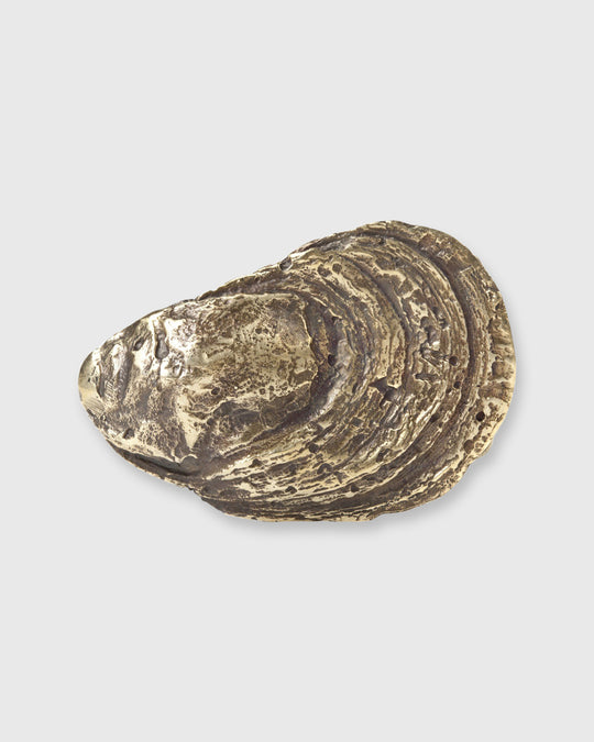 Oyster Shell Belt Buckle Brass